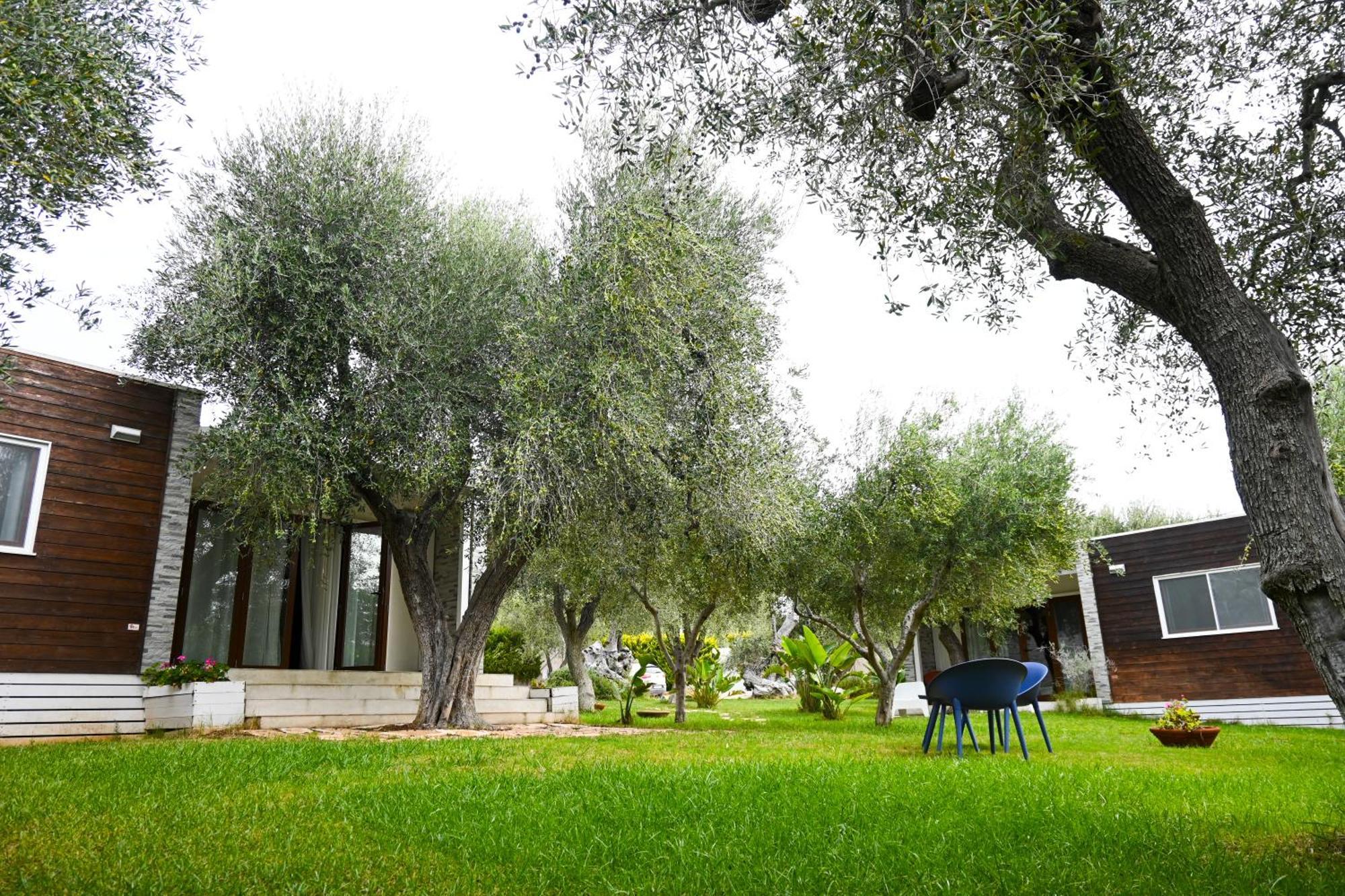 Giardino Don Berardino Villa Mattinata Exterior photo